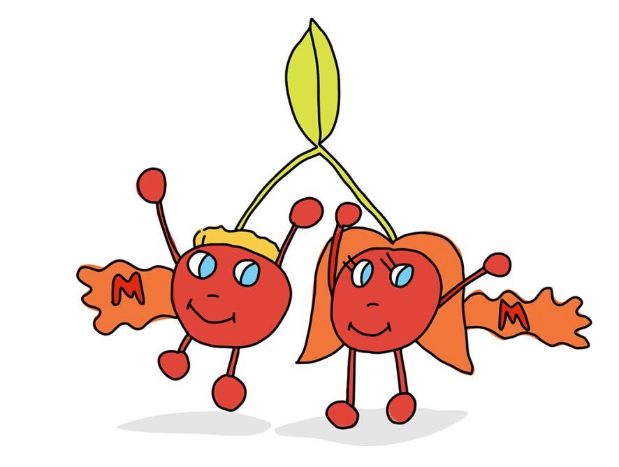 Hermanos Cereza Man