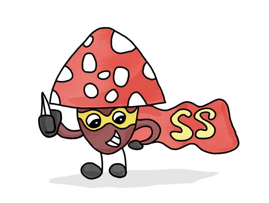 Súper Seta